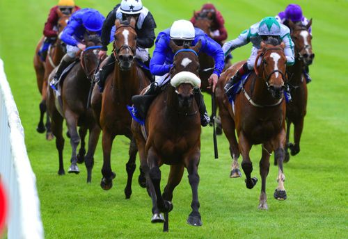 Grey and green colours Irish Rookie chases home Devonshire at the Curragh