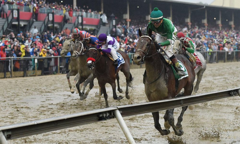 No joy for Exaggerator in the Belmont 