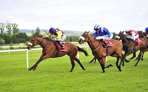 Reckless Endeavour beats Mizaah