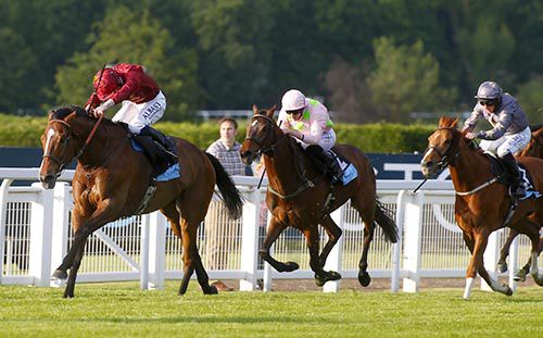 Pallasator and Oisin Murphy 