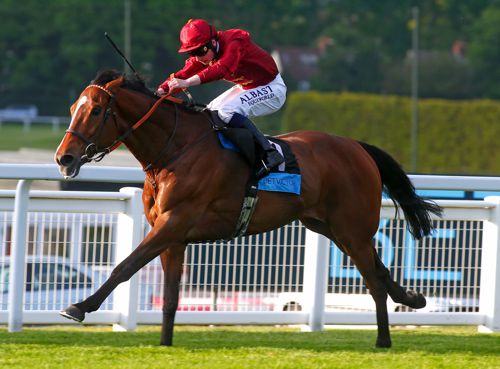 Pallasator pictured in winning action at Sandown
