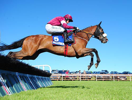 Tocororo and Bryan Cooper