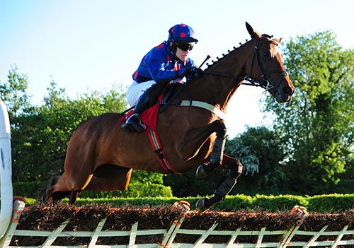 Petuna and Andrew Ring