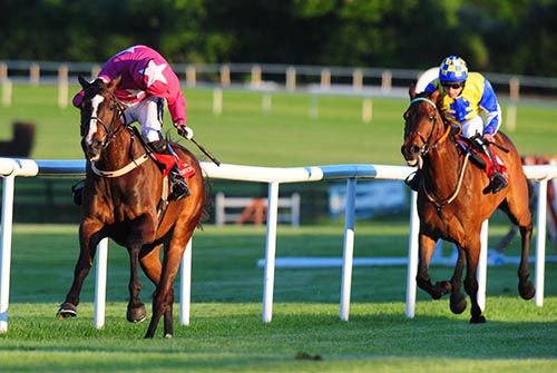 Wishmoor and Patrick Mullins are clear from Seaboard and Roger Quinlan