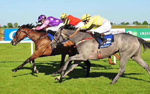 Elusive Beauty (purple) gets the better of Sheisdiesel (inside) and Swish (nearest)