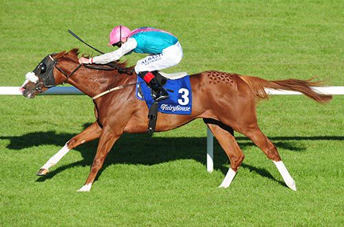 Footbridge is ridden out by Pat Smullen