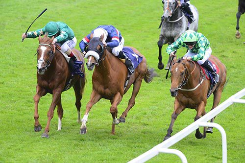 Tullius, centre, beats Decorated Knight, left, and Custom Cut, right 