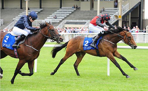 Grand Coalition and Connor King holds off Intelligence Cross and Ana O'Brien