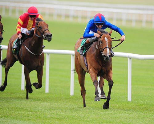 Divine and Ronan Whelan races away from Only Mine
