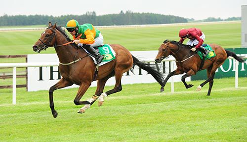 Qatari Hunter and Rory Cleary beats Newsman