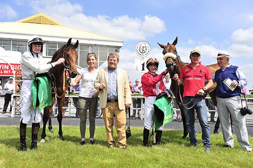 Connections of Mr Adjudicator (left) and Fox Dream (right)