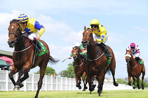 Just Joan and Wayne Lordan beats High Honcho