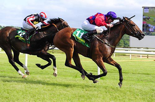 Busy Bush beats Lightening Stricks 