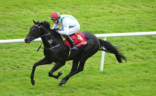 Justice Frederick and Donnacha O'Brien pictured on their way to victory