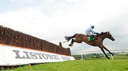 Stellar Notion clears the last under Robbie Power