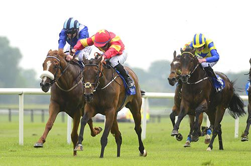 Flying Fairies and Gary Carroll are too good for Kidd Malibu and company