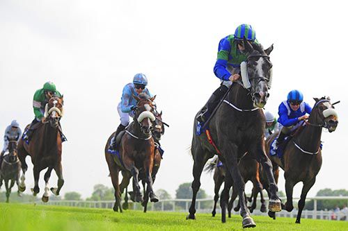 Grey Sky Blue and Billy Lee leads them home
