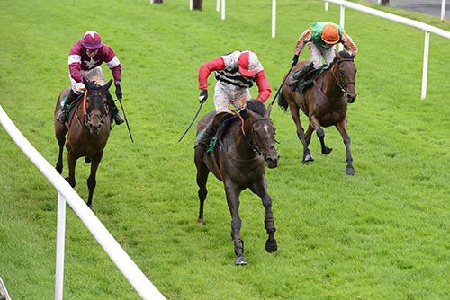 Mr Mulliner (Derek Fox centre) prevails from Overtures (nearside) and Tellthemnuttin (right)