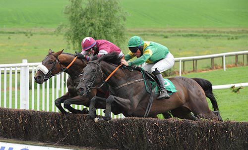 Western Goose and Barry Cash jumping with Aminabad
