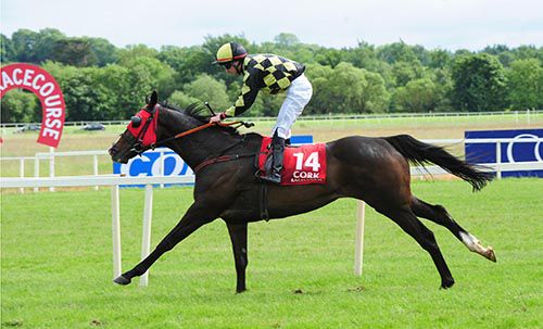 Prince Jock and Keith Moriarty