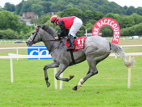 Crafted Jewel and Gary Carroll