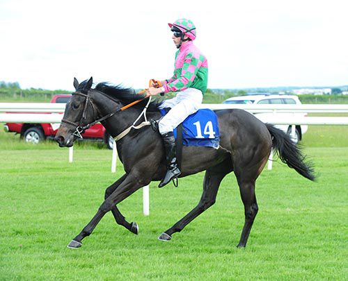 Conor Hoban finishes without his irons after his mount Gifted Lady stumbled at Roscommon yesterday evening