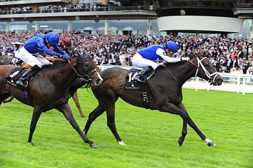 Tepin (right) and Julian Leparoux beating Belardo in the Queen Anne Stakes
