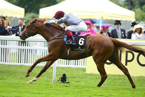Galileo Gold