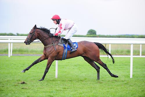 Derrygereen Girl (Pa King) provides new trainer James King with his first winner