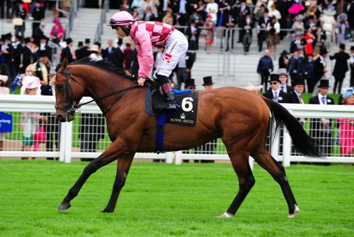 Endless Drama at Royal Ascot