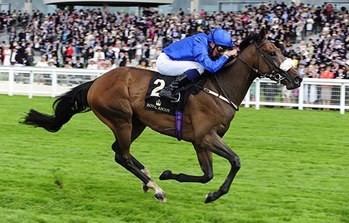 Ribchester and William Buick winning the Jersey Stakes at Royal Ascot