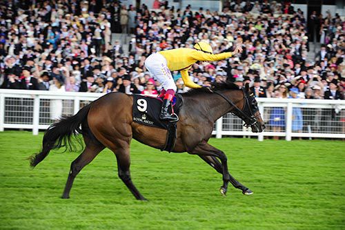Lady Aurelia