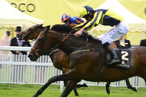 My Dream Boat (nearside) beating Found in last year's Prince Of Wales's Stakes