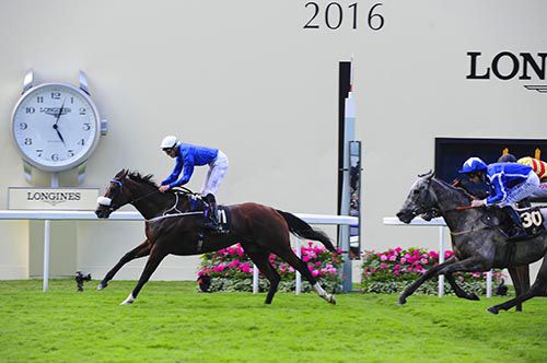 Portage pictured winning at Royal Ascot