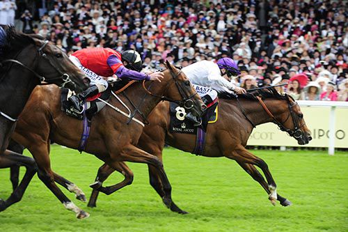Prince Of Lir and Luke Morris prevail