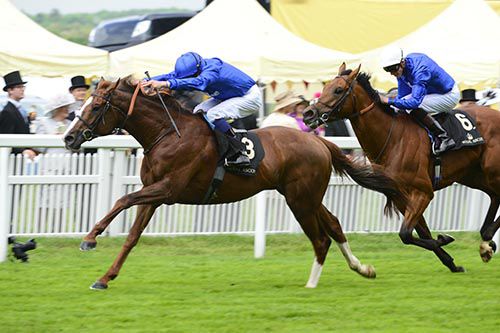 Hawkbill and William Buick leads home Prize Money to give Godolphin a 1,2