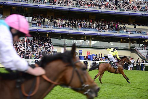 William Twiston-Davies wins on Primitivo for trainer Alan King 
