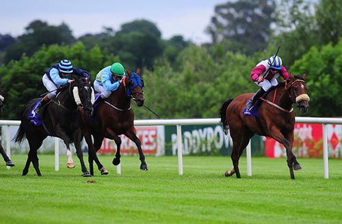 Lagostovegas and Conor Hoban on the way to victory in the penultimate at Leopardstown