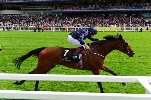 Royal Ascot winner Even Song 