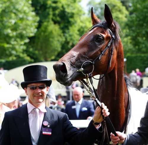 Aidan O'Brien