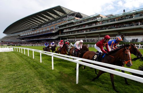 You can place a whole host of different bets on Royal Ascot