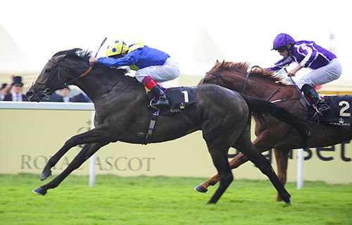 Across The Stars and Frankie Dettori win from Beacon Rock and Ryan Moore 