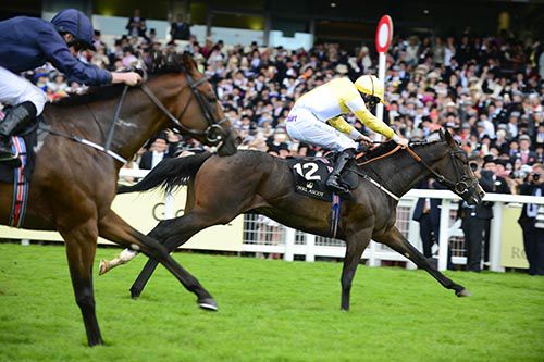 Quiet Reflection winning at Ascot