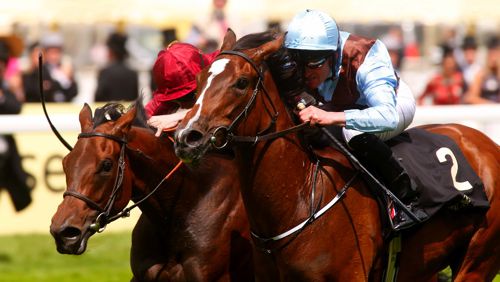 Brave Anna at Royal Ascot