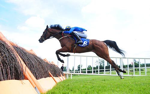 Tagg's Island and Danny Mullins 