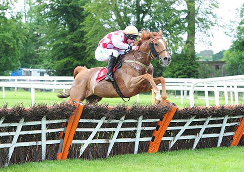 Coolfighter and David Splaine jump the last to win in good style