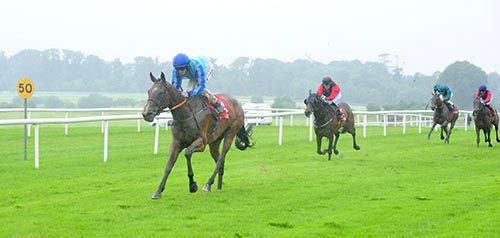 Best Not Argue comes home clear in Gowran Park