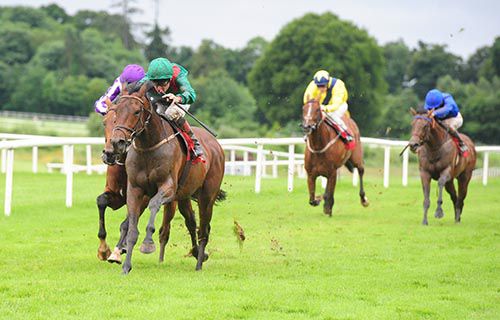 Ashraf, green, approaches the line in Gowran Park