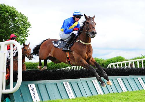 Long Journey Home and Conor Brassil pictured on their way to victory