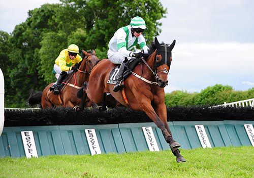 Rolling Revenge clears the last under Mark Walsh